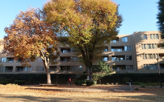 パークホームズ吉祥寺北町