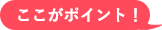 ここがポイント!