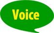 Voice